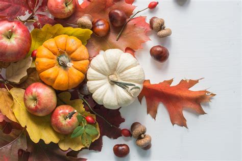 The Low Carb Diabetic Five Autumn Fall Foods And The Reason To Love Them