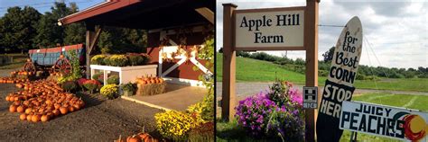 Apple store valley fair store hours, contact information, and weekly calendar of events. Hudson Valley Pick-Your-Own Apples Apple Hill Farm New ...