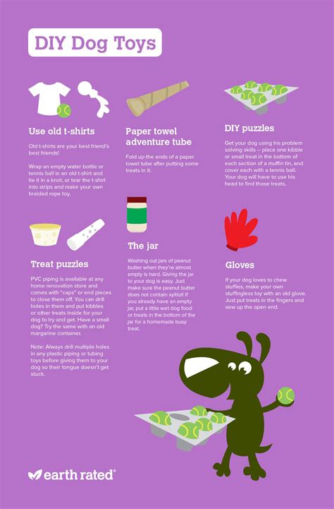 6 Easy DIY Dog Toys You Can Make at Home (Infographic)