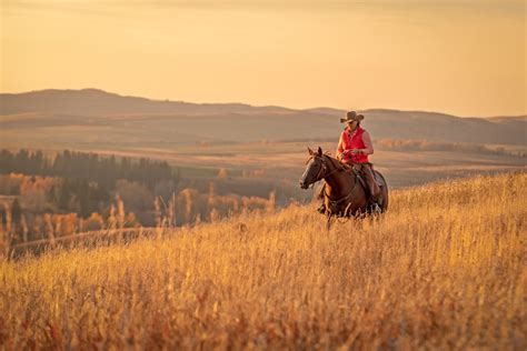 Fall Horseback Ride In The Alberta Foothills Holly Nicoll Photography