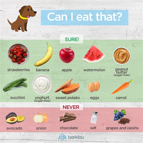 Can Dogs Eat Bananas? How Much Banana Can My Dog Eat? - Barkibu US