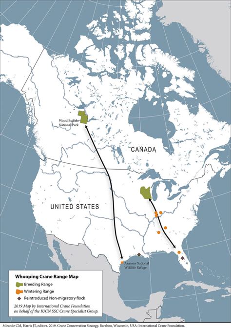 Whooping Crane Fall Migration