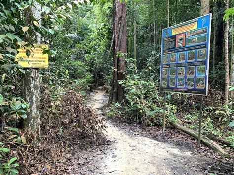 Hiking at bukit wawasan, puchong (also known as ayer hitam forest reserve) with friends. Bukit Wawasan Puchong Selangor - Afiq Halid