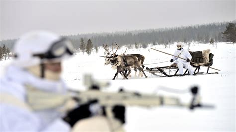 Russian Defense Ministry S Photos Of Reindeer In The Arctic Hold A Coded Message To The World