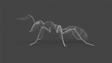 3d model ants 001 rigged black ant vr ar low poly cgtrader