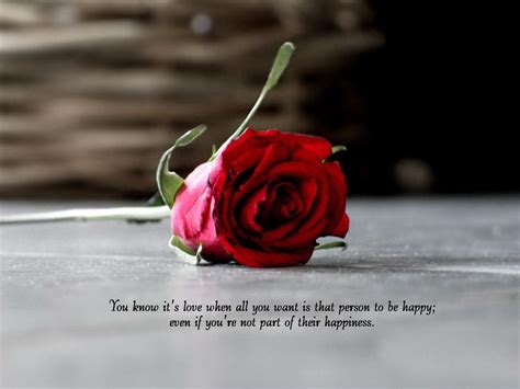 50 Best Rose Quotes To Show Your Love - The WoW Style