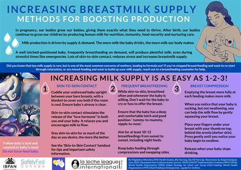 How To Produce Breast Milk Deals Cheap Save 51 Jlcatjgobmx