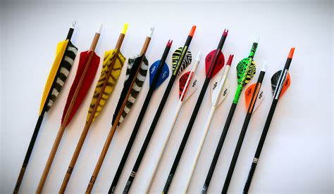 How To Choose The Best Archery Equipment In 5 Easy Steps Archery 360