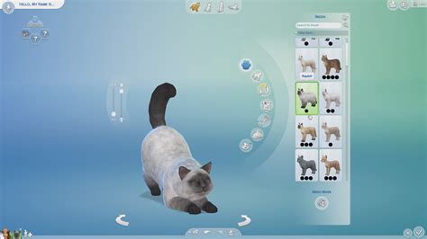 How To Create A Pet In The Sims 4 Sims Online