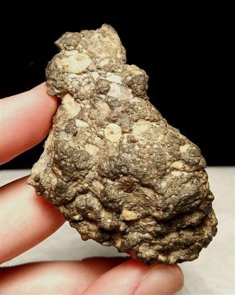 Lunar Meteorite Nwa 11474 Feldspathic Breccia 967 G Catawiki