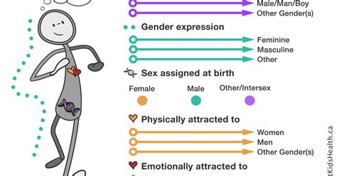 sex gender and sexual orientation an overview