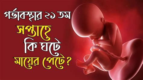 দেখুন মায়ের পেটে ২১তম সপ্তাহে বাচ্চা কি করে। 21 Week Pregnancy Bangla