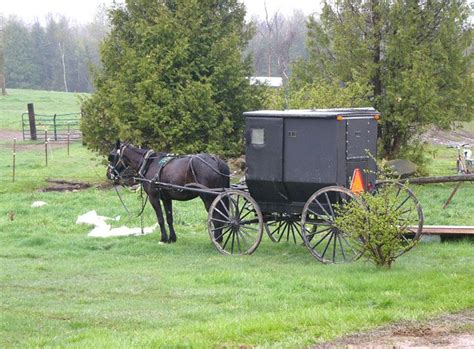 He never thought making sure he has all of his house painting tools and equipment would be where he would get held up first. paintings of amish quilts | Amish buggy arrived for the ...