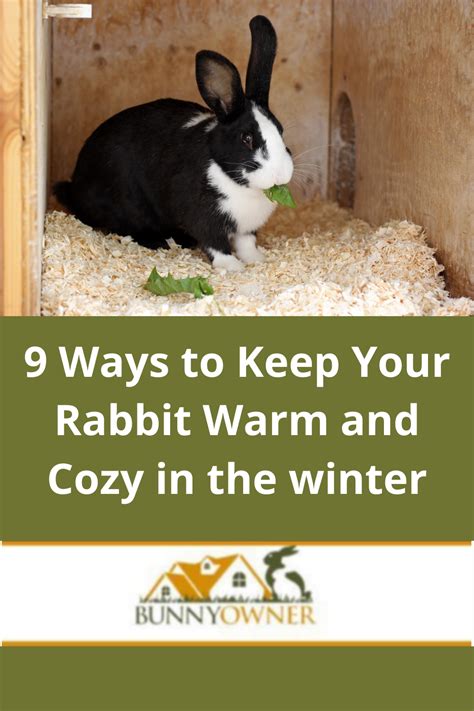 9 Ways To Keep Your Rabbit Warm And Cozy In The Winter Pet Bunny