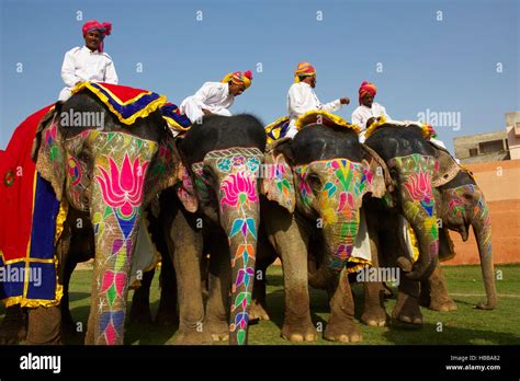 Inde Rajasthan Jaipur Le Festival Des Elephants Qui Se Deroule Lors