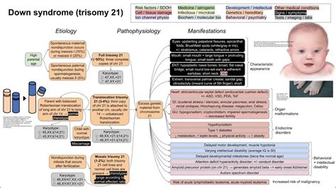 Down Syndrome Trisomy 21 Mechanism Of Disease YouTube