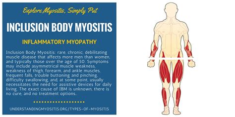 Inclusion Body Myositis Myositis Support And Understanding