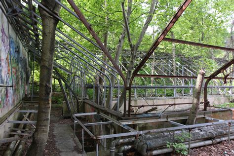 citation needed niʻihau is the remnant of the southwestern slope of what was once a much larger volcano. Old Long Island: The Derelict Greenhouses of 'Welwyn'