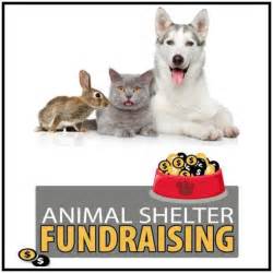 Animal Shelter Fundraising Events Blogs
