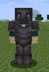 This is the new, best material you can make any armor, tools and weapons out of in the game, but as its name suggests, it can only be obtained by searching in the nether. The new Netherite armor looks awesome with my skin : Minecraft