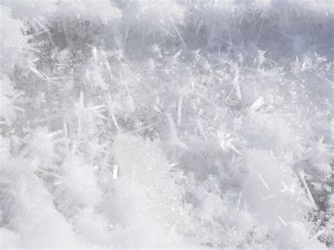 Free Images Cold Frost Weather Frozen Season Sparkle Icy