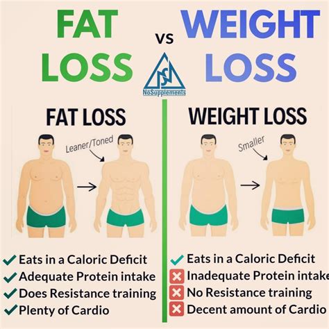 Fat Loss Vs Weight Loss Blog Nosupplements
