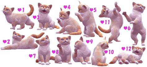 Cat And Kitten Pose Sims 4 Pets Sims 4 Studio Sims 4