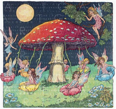 Fairy Carousel Vintage Illustration Fairy Digital Art Printable Vintage Fairy Download Fairy