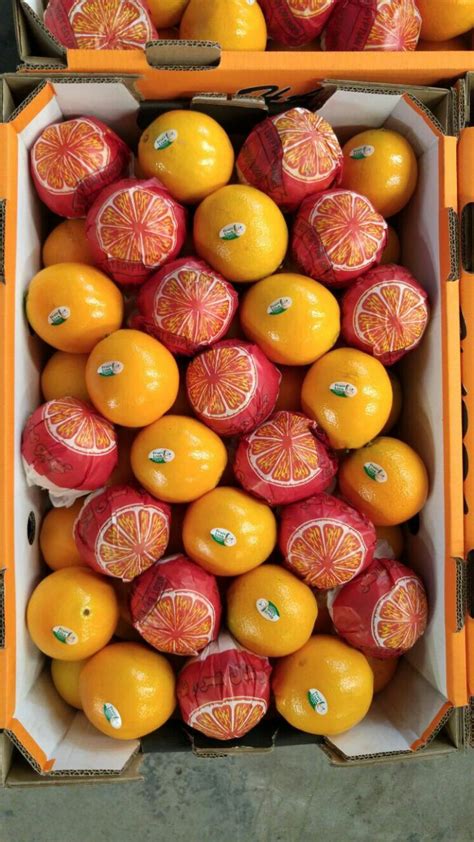 Navel Orange 12 Fruit Link Fresh Produce