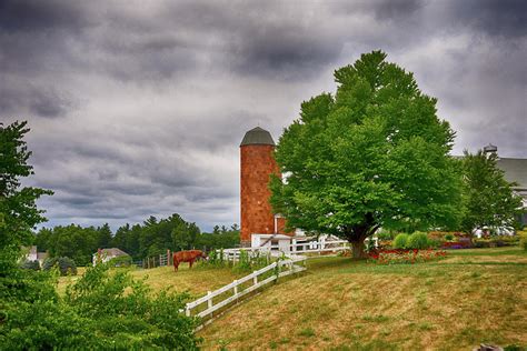 Summer At The Farm Photograph By Tricia Marchlik Fine Art America