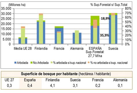 El Sector Forestal Español Aguanta El Tipo Agricultura