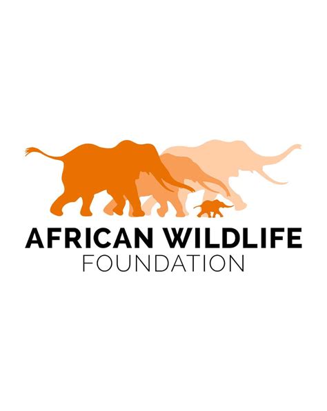 African Wildlife Foundation Finance And Administration Officer Louma