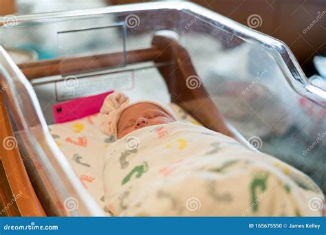Newborn Baby In Hospital Sleeping In Bassinet Stock Photo Image Of