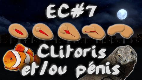 Clitoris Et Ou P Nis Le Sexe Biologique Espritcritique Youtube