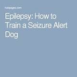 Photos of Seizure Dog Medication