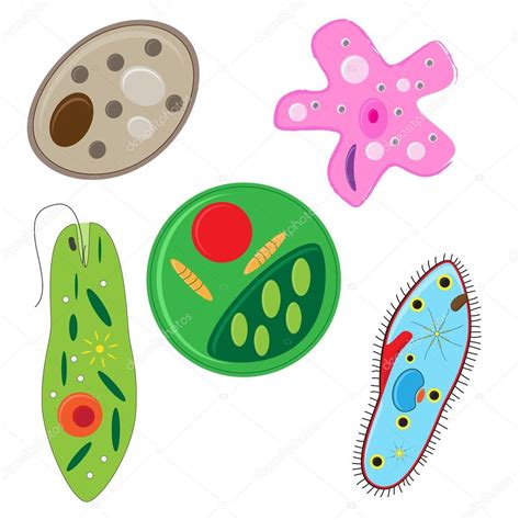 Vector Unicellulars Set Stock Vector By ©paveu 65627671