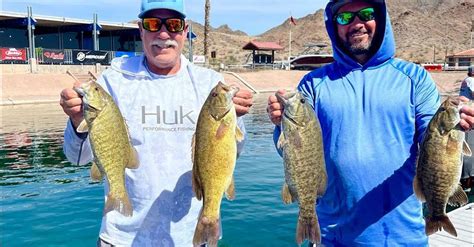 Lake Mohave Fish Report Cottonwood Cove Nv