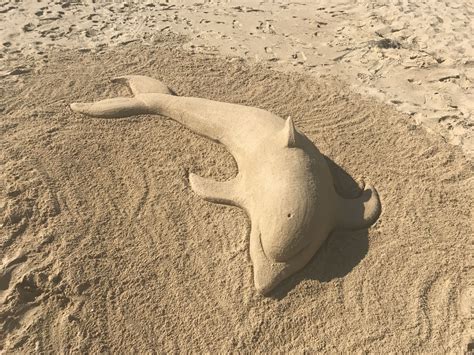 Sand Sculpture Dolphin 🐬 Sand Art Sand Sculptures