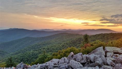 Why You Need To Explore Shenandoah National Park