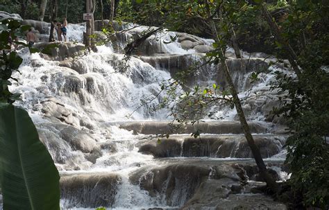 Visitar Las Divertidas Cascadas Del Río Dunn En Jamaica
