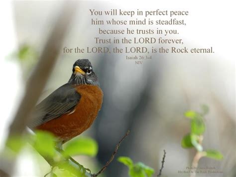Perfect Peace Comes From The Lord • Treading Water Til Jesus Comes