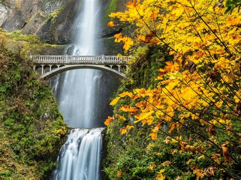 Multnomah Falls Columbia River Gorge Oregon Waterfall Autumn Wallpaper