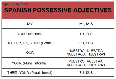 Spanish Possessive Adjectives