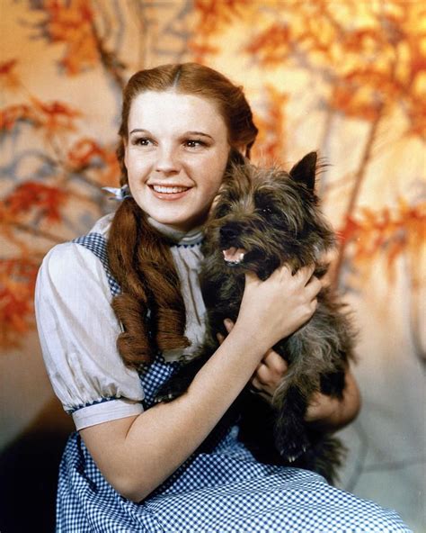 Judy Garland The Wizard Of Oz Wizard Of Oz 1939 Over The Rainbow