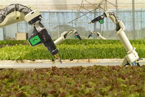 Smart Robotic In Agriculture Futuristic Concept Robot Farmers
