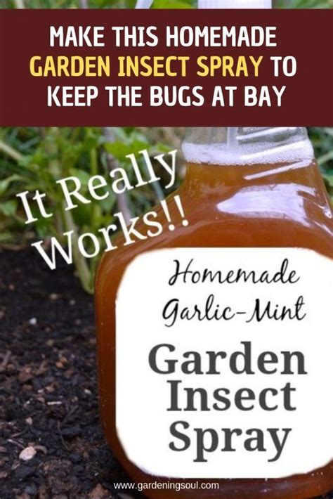 Pin On Garden Insects Pest Control