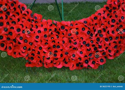 Remembrance Day Stock Image Image Of Monument Remembrance 3622195