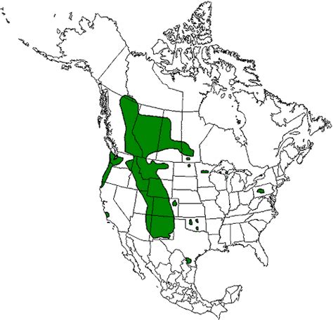 Elk Distribution Map For Canada And The Us Note I Think This