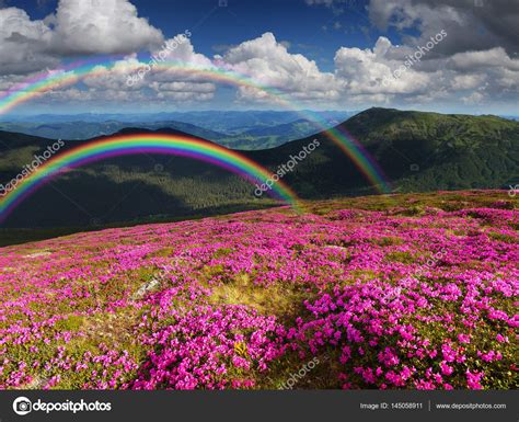 Summer Landscape With Mountain Flowers And A Rainbow — Stock Photo
