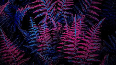 Neon Plants Wallpapers Wallpaper Cave